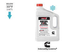 year-round-dfs-1